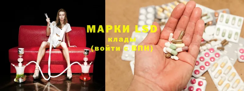 купить наркотик  Кедровый  блэк спрут tor  LSD-25 экстази ecstasy 